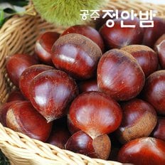 23년산 햇 공주밤 정안밤 알밤 2kg(대품)