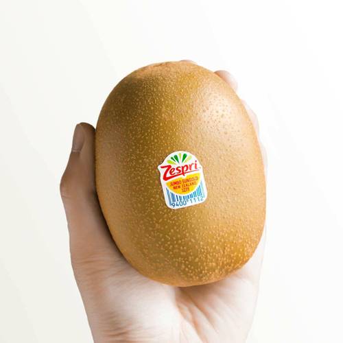 이미지 DP