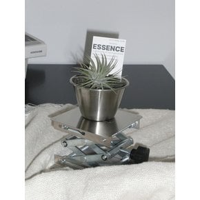 틸란드시아 이오난사 (Tillandsia ionantha) 스테인레스 베이스