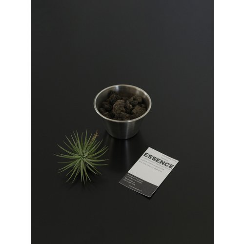 Add Image 5