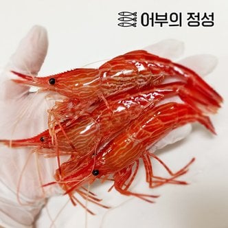  [냉동][어부의정성] 활 독도새우 꽃새우 500g