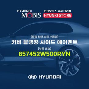 커버 블랭킹 사이드 에어벤트 (857452W500RYN)