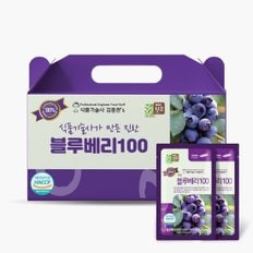 식품기술사 김종관 15브릭스 진한 블루베리100 80ml x 30포