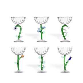BOTANICA set 6 pcs optical champagne 6424708