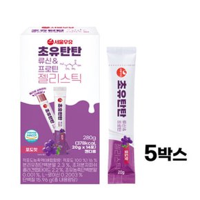 초유탄탄 류신 프로틴 젤리스틱 14p x5개