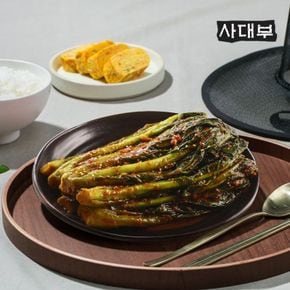 사대부 전라도 여수 돌산 갓김치 2kg[34926413]