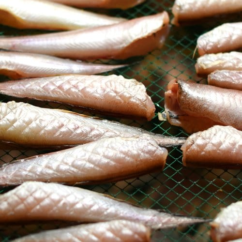상품이미지4