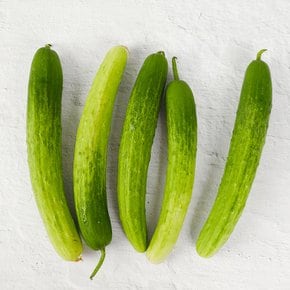 수분가득 신선한 백다다기오이 3kg (상)