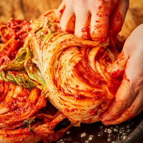 전라도 불김치 실비 포기김치 1kg