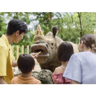  [싱가포르 투어 A타입] 싱가포르 동물원 + 리버크루즈 + 가든스 바이더베이 식물원