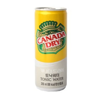  캐나다드라이 토닉워터 캔 250ml