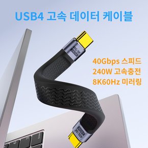 USB 4 40Gbps C타입 외장 하드 메모리 미니 케이블 PD 240W 고속충전 8K