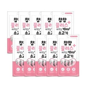 찹찹플러스 짜먹는 소고기맛 반려견 츄르 10개 묶음