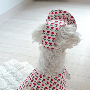 개달당 튤립 강아지 선캡 모자 턱받이 2종 SET
