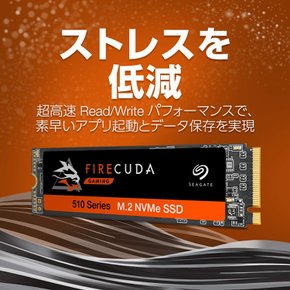 씨게이트 FireCuda 510 SSD M.2 1TB 읽기 3X450MB 쓰기 3X200MB 3D TLC ZP1000GM30011