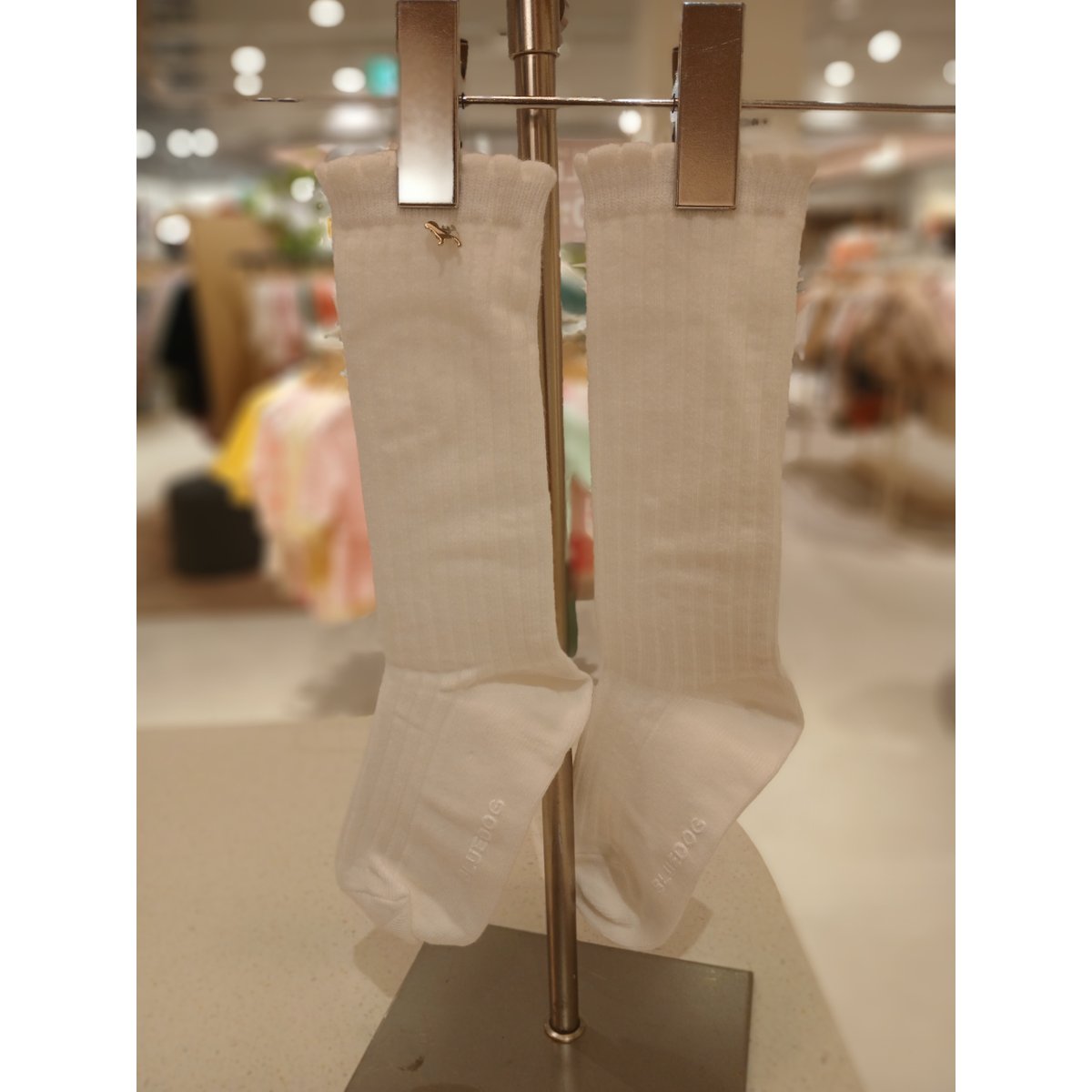 확대된 대표 .