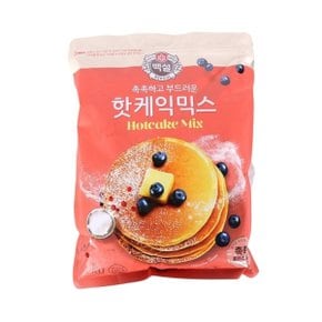 간편하게 만드는 부드러운 백설 핫케익가루 1kg