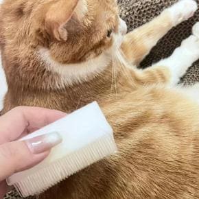 /퍼주는오빠네 고양이 강아지 부드러운 빗 그루밍 털갈이 빗 브러쉬