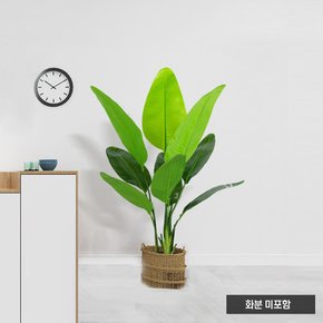 인테리어 장식 나무 홈가든 여인초 조화 (120cm)