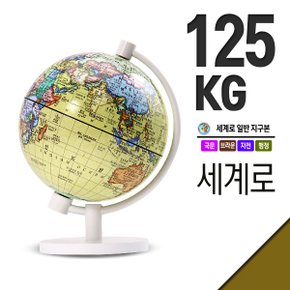 세계로/행정 지구의 125-KG(지름:12.5cm) 소형지구본