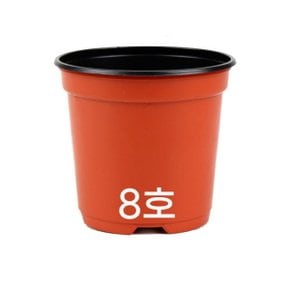 모두다 국내생산 플라스틱화분 플분 모종화분 이색포트 8호 적색