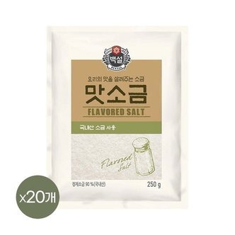 CJ제일제당 백설 맛소금 250g x20개