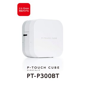 Brother 브라더 라벨 라이터 P-TOUCH CUBE 라벨 PT-P300BT