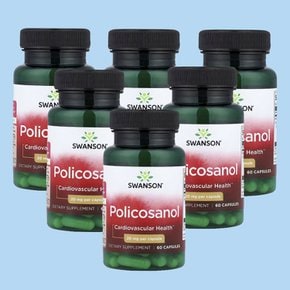 폴리코사놀 20mg 60정, 6개