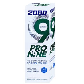 2080 프로나인 후레쉬 120g 1개