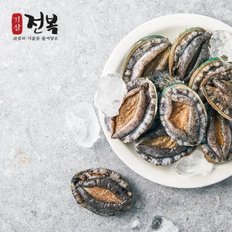 [기삼전복] 진도 활전복 특대 1kg (8~9미)