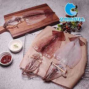 촉촉한 반건조 오징어 800g / 10마리