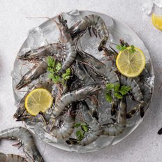 푸드앳홈 블랙타이거 새우 500g 외 냉동 해물 모음전