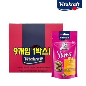 캣얌 치즈 40gx9개 1박스 고양이간식