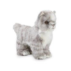 6499 아기고양이 동물인형(Gray)/20cm.L