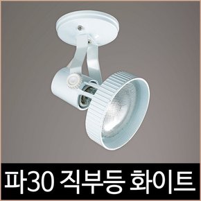 파30 직부 화이트 백색 파삼공 PAR30 직부등 기구 LED