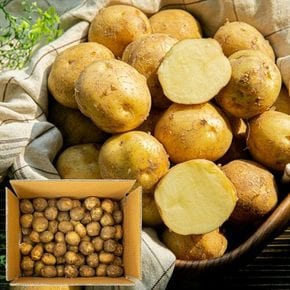 [오창농협] 친환경 감자 10kg