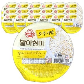 맛있는 오뚜기밥 발아현미 210g x 18 간편 조리