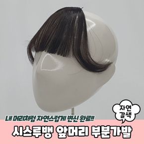 P1 시스루뱅 앞머리 부분가발 자연갈색