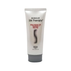 샤인 트리트먼트 플러스 로즈힙향 100ml 1개 Ss