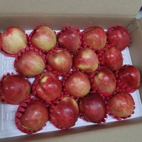 26년 햇 수확 달콤한 청송 홍로 사과 5kg(16-20과) 선물세트
