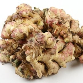 흙생강 알뜰 500g