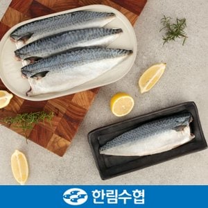 한림수협 [제주 한림수협] 제주직송 제주 순살 고등어 25팩(1팩당 120g) / 냉동