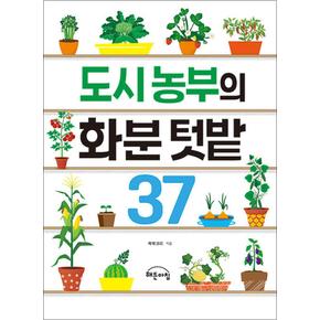 도시 농부의 화분 텃밭 37