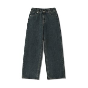 빅사이즈 와이드핏 기모숏청바지 (MDIP719KD)
