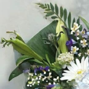 꽃다발 빛나는그대 기념일 고백 축하 생일 선물 꽃배달