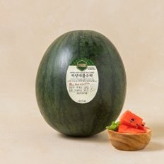 까망 애플수박 3kg미만(1.5kg~3kg)