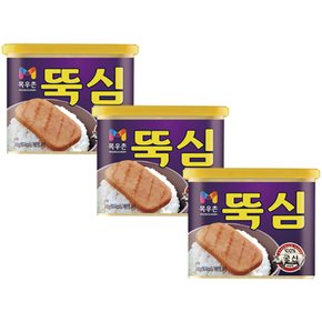 뚝심 300g x 3개 통조림 햄 소세지