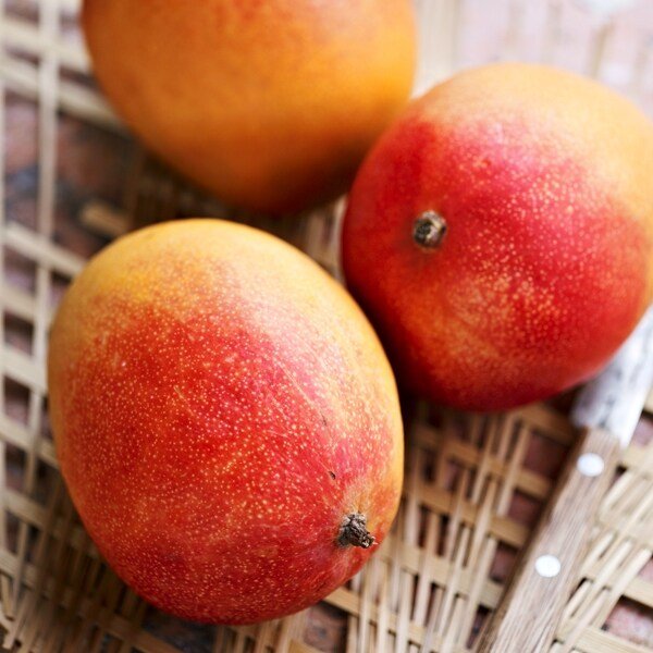 [후레쉬망고] 브라질 애플망고 1.3kg내외(랜덤/2-5과)