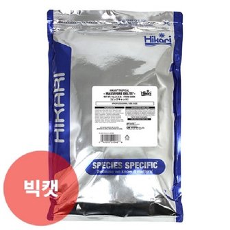  히카리 싱킹카니발 빅캣 1kg