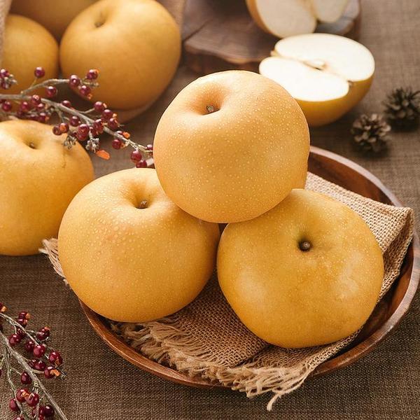확대된 대표 신고배 신고 배 15kg(21-25과) (특) 가정용배 나주배(1)